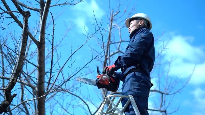 みなさん、こんにちは🌈