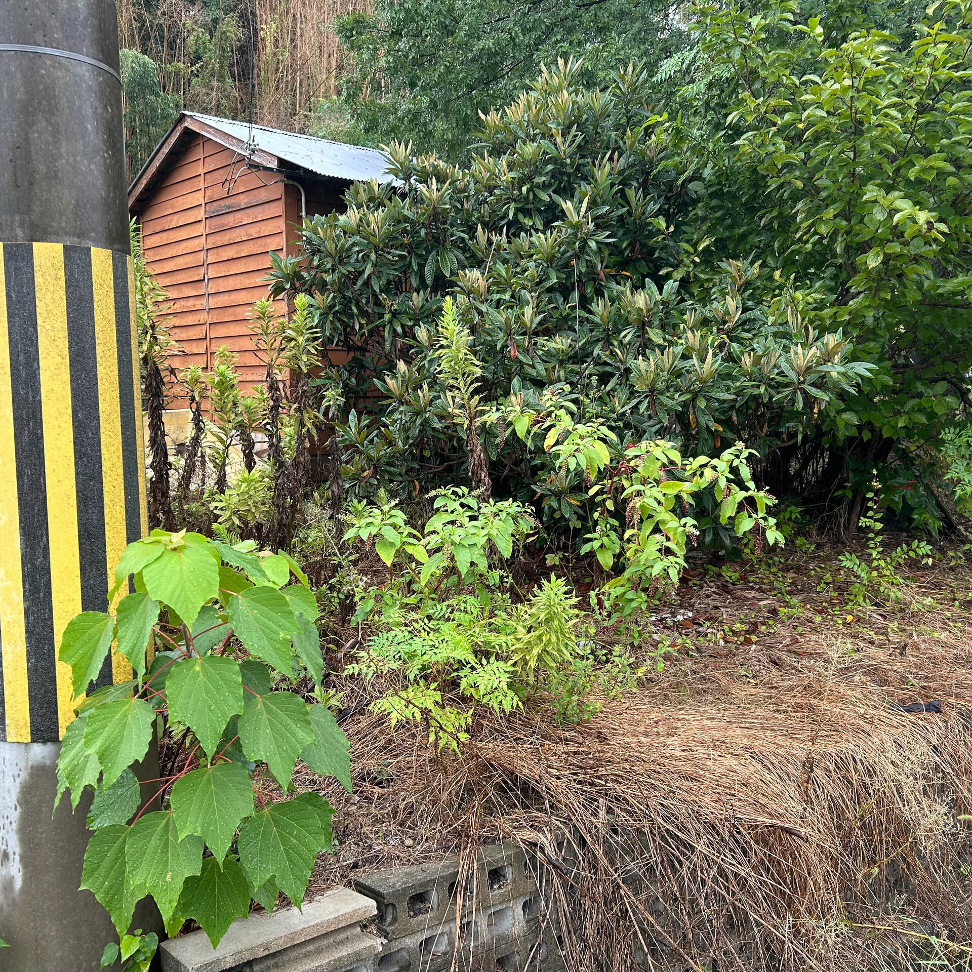 新しい工事始まりました🌱