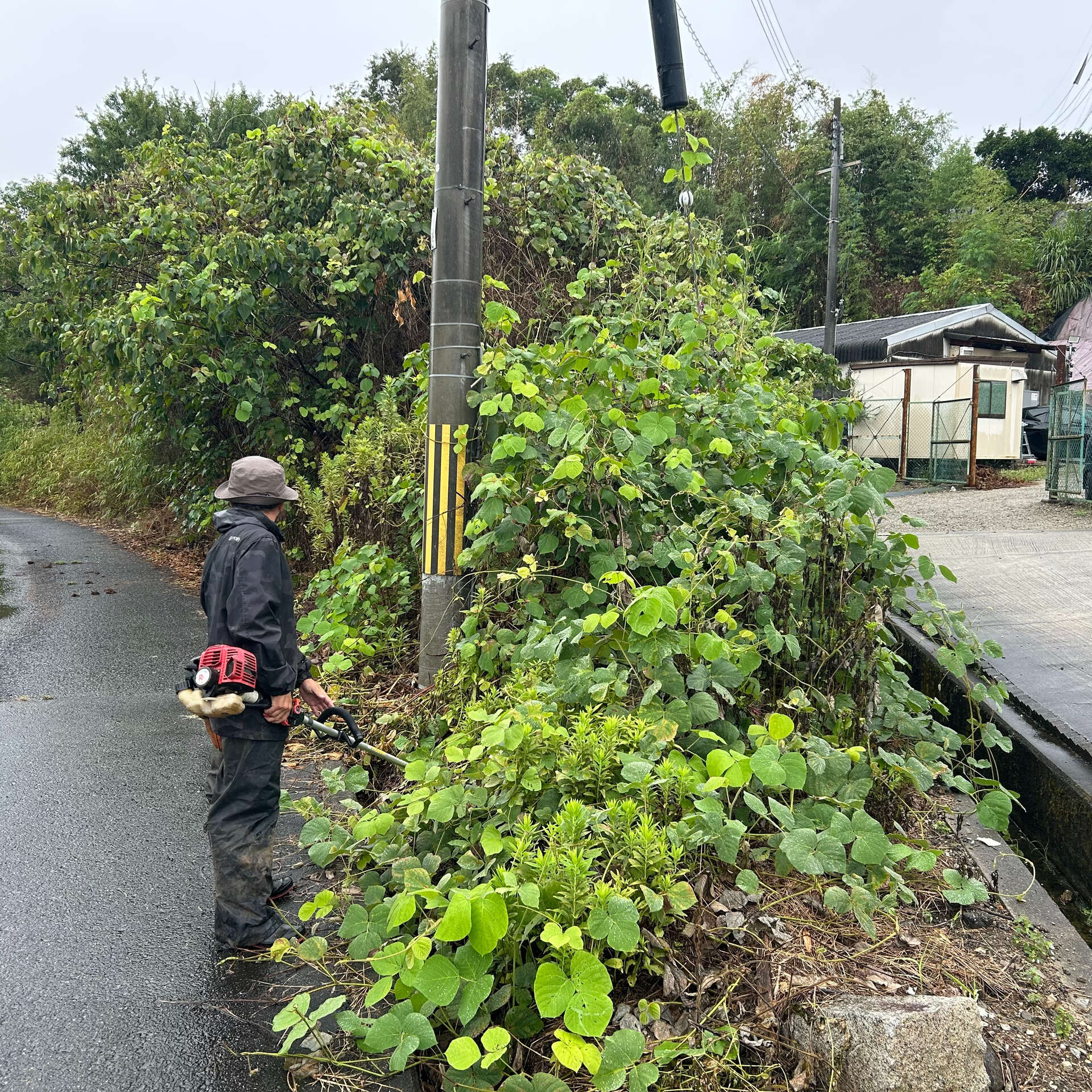 また一つ、空地が美しく変身しました🌿✨