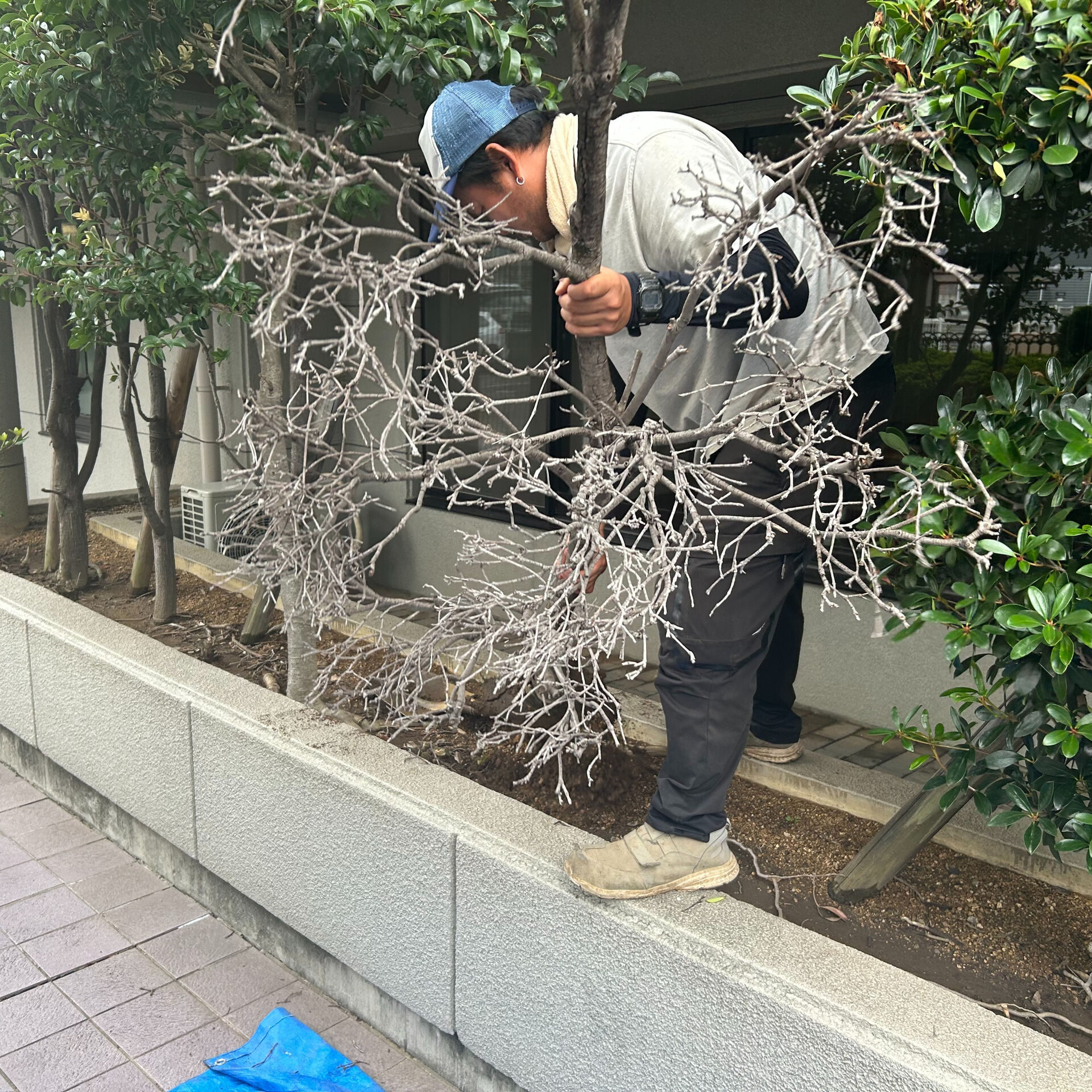 涼しい季節の到来🍂