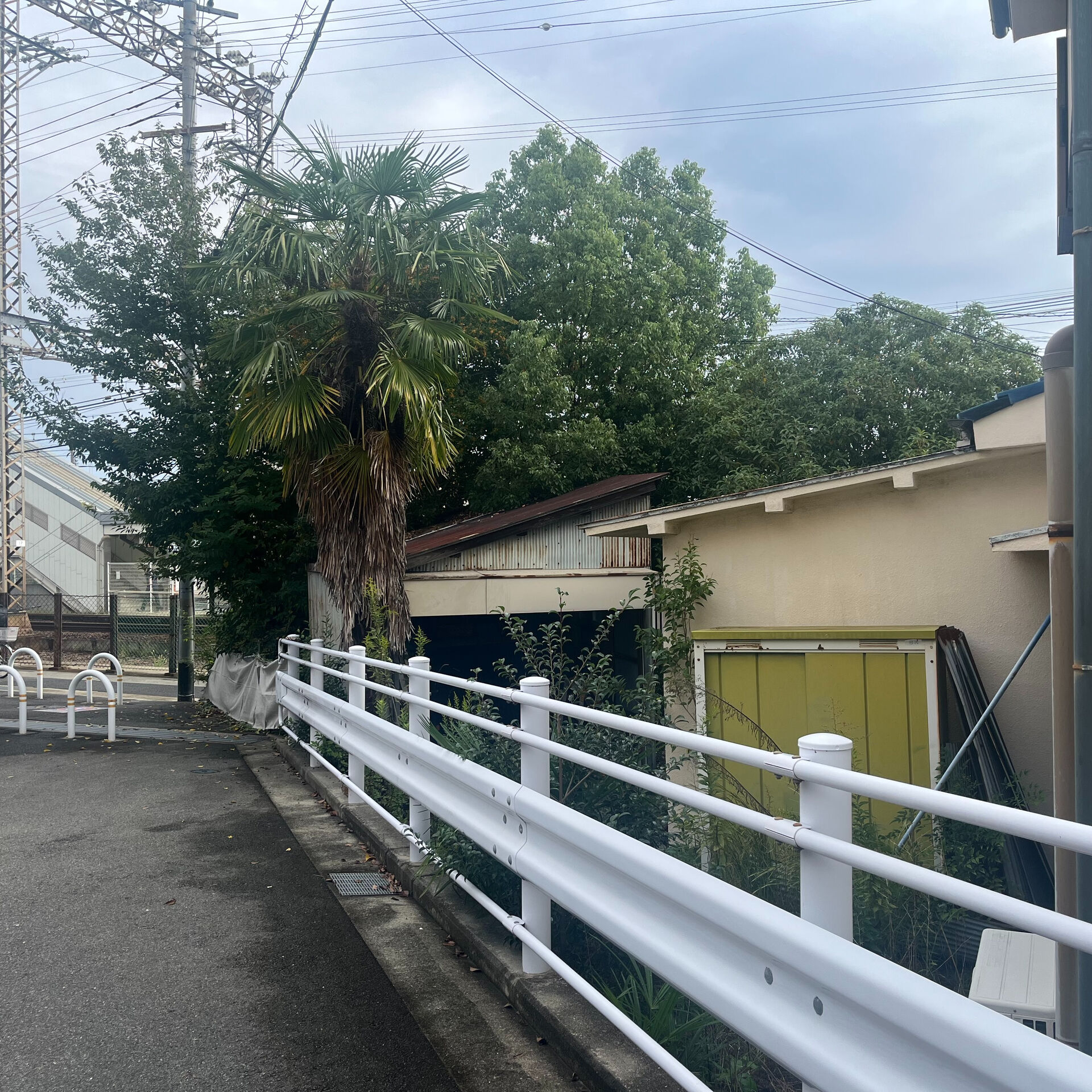 大切な木が大きく育ちすぎて困っていませんか？
