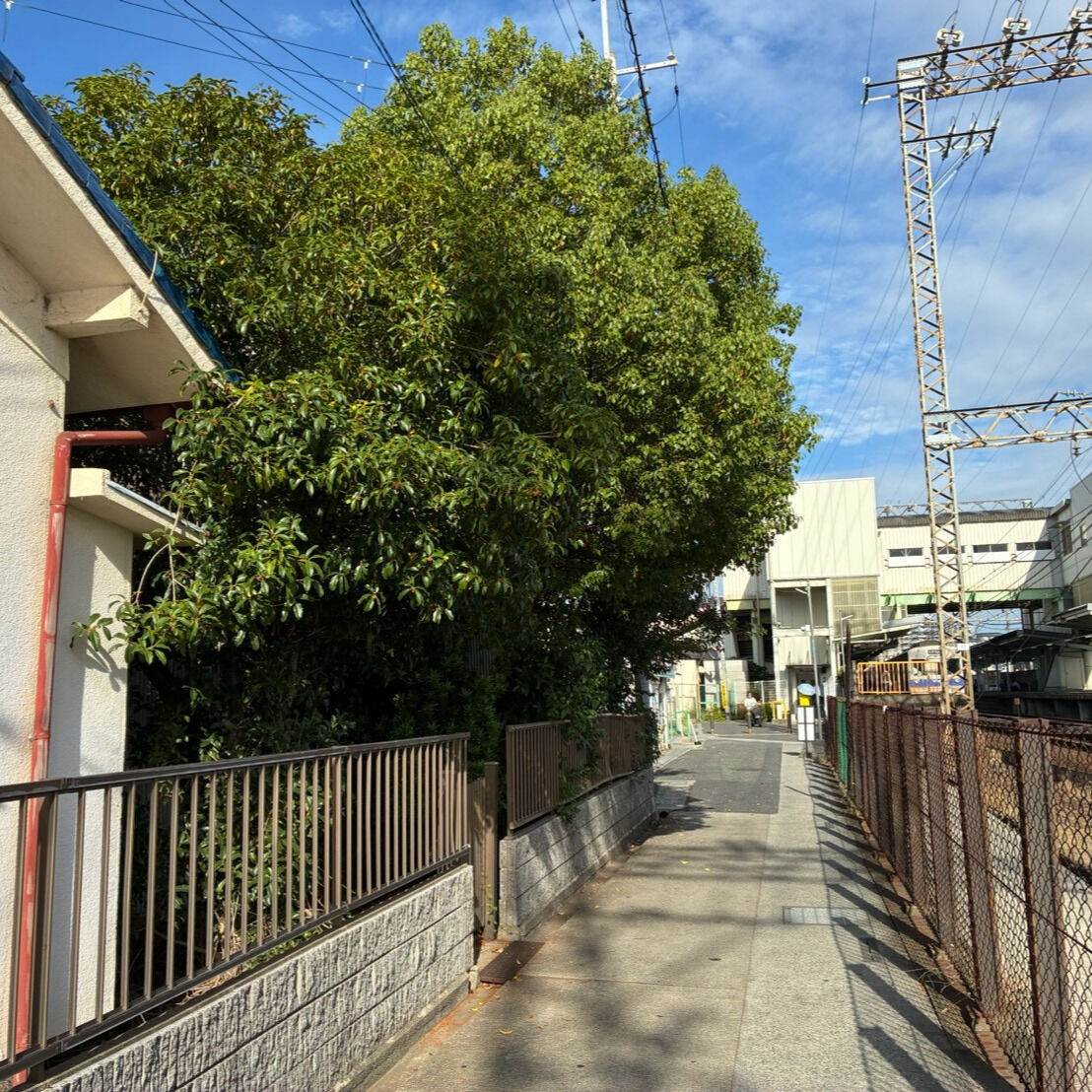 先日投稿しましたお庭の手入れが完了しました🌿✨